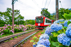 病児・病後児保育施設 – 神奈川県（まとめ）
